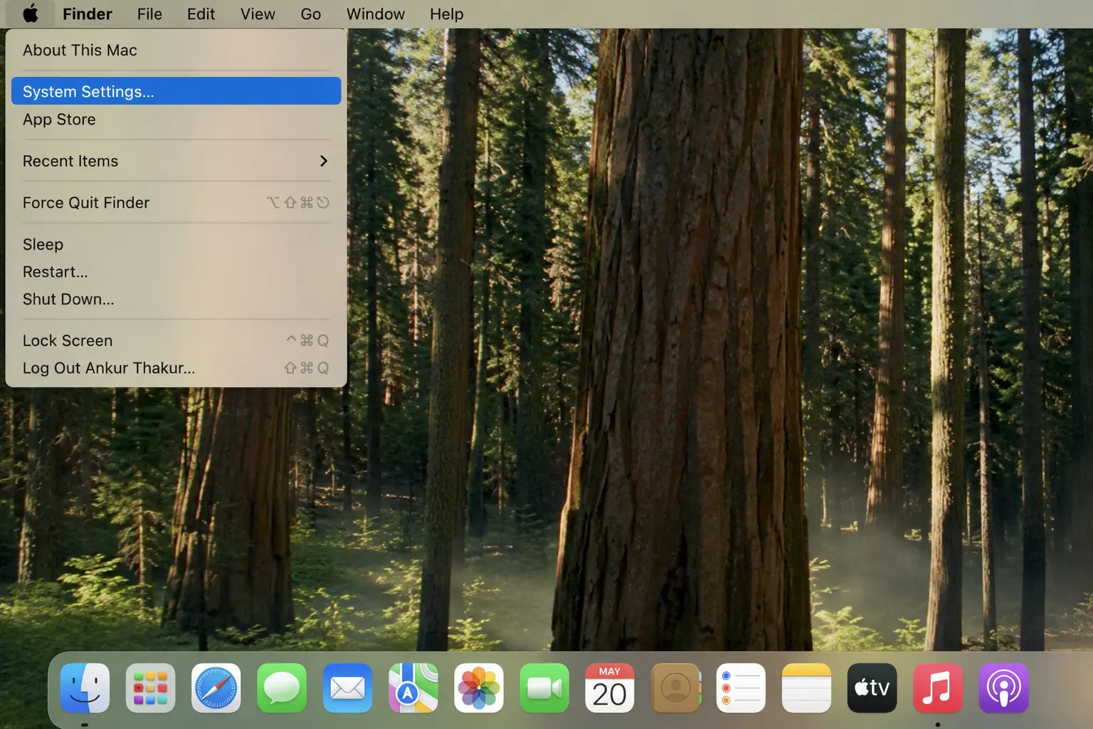 Apple icon (top-left) → System Settings
